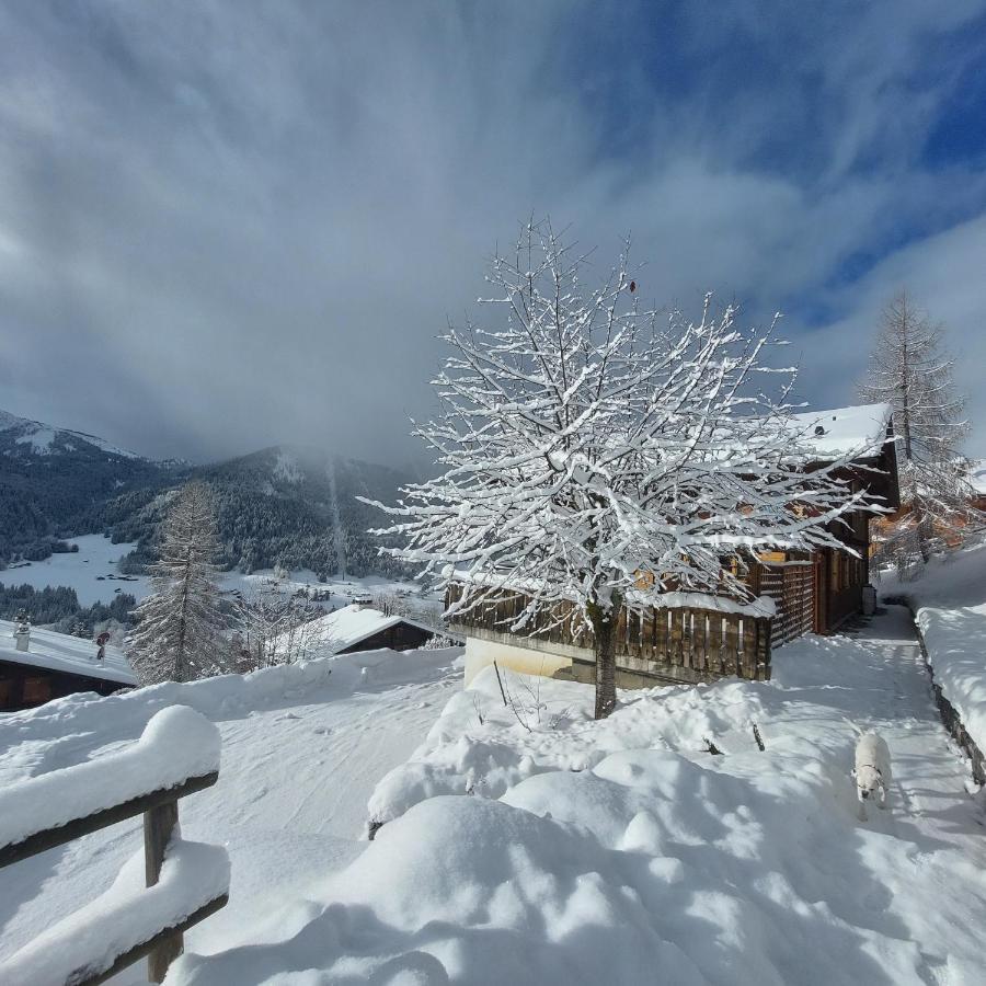 Chambre D'Hotes L'Ours Bleu Les Diablerets Exteriér fotografie